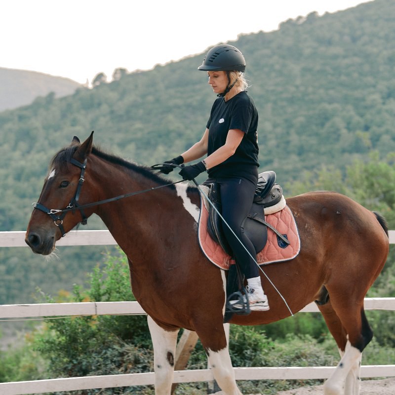 О полезности иппотерапии